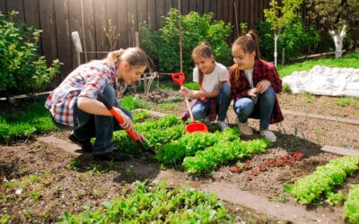 Gardening in Utah for Beginners and the Benefits