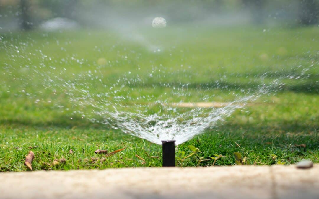 7 Water-Saving Tips to Keep You Cool This Summer