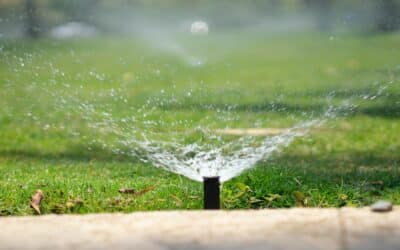 7 Water-Saving Tips to Keep You Cool This Summer